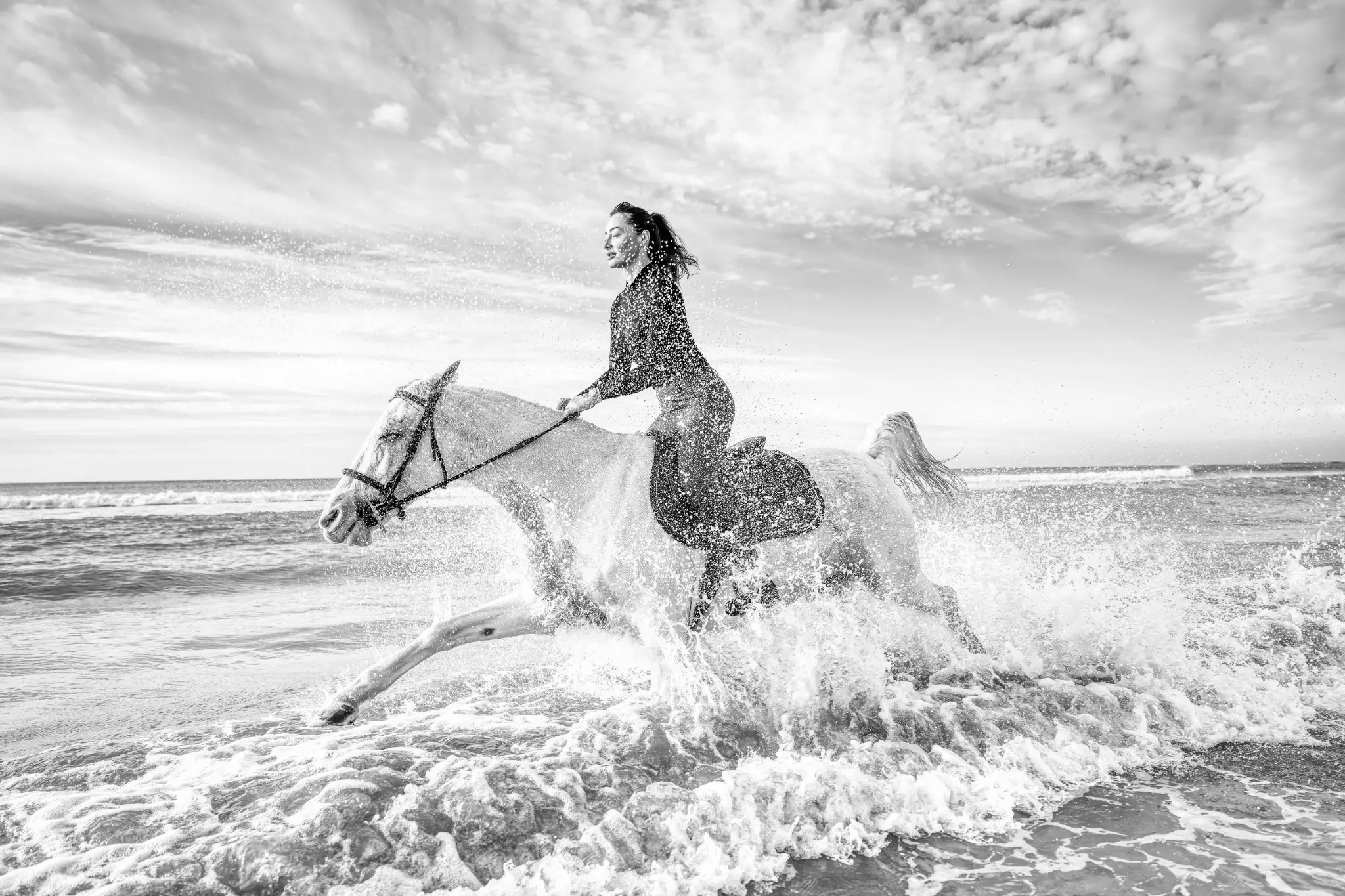 Cavalière et cheval dans l’eau en Camargue